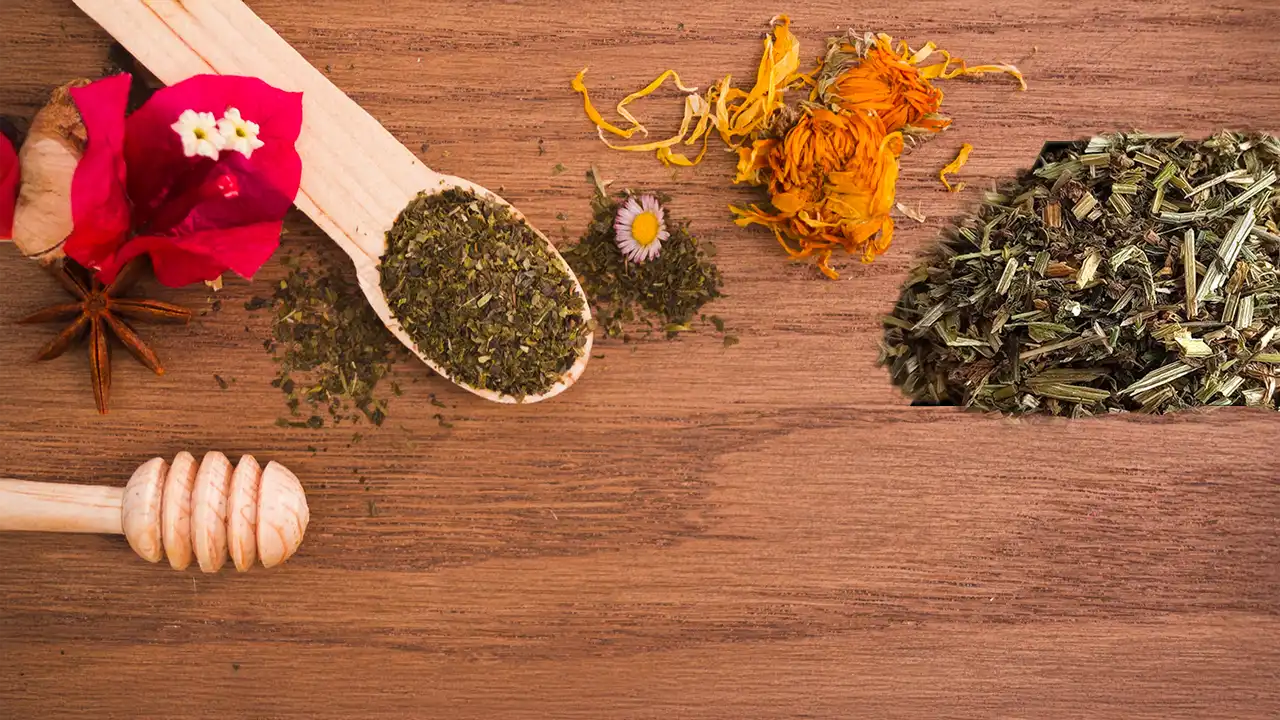 Cleavers Herb Lymphatic System Care: Herbal Support for Daily Wellness