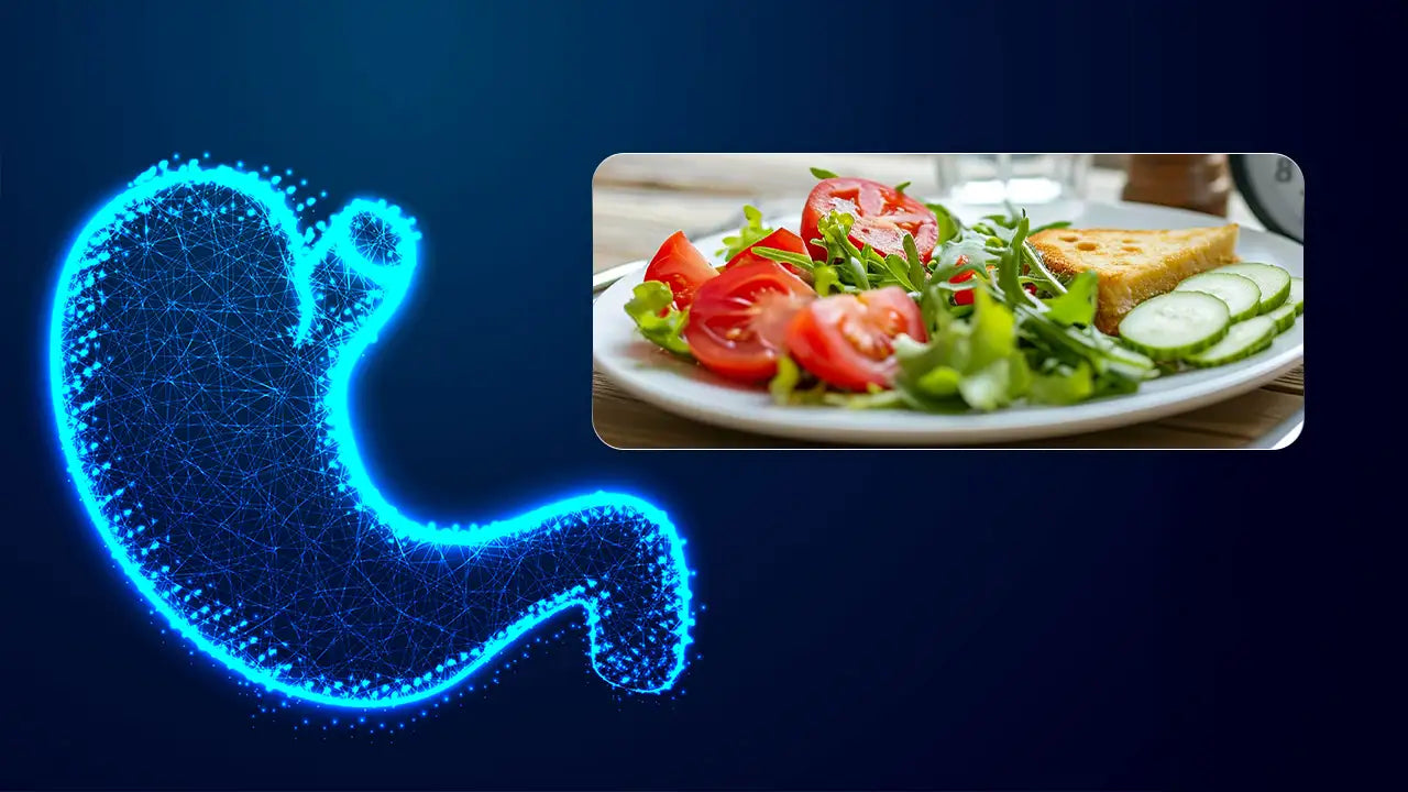Building Long-Term Gut Health: Small Changes That Last a Lifetime