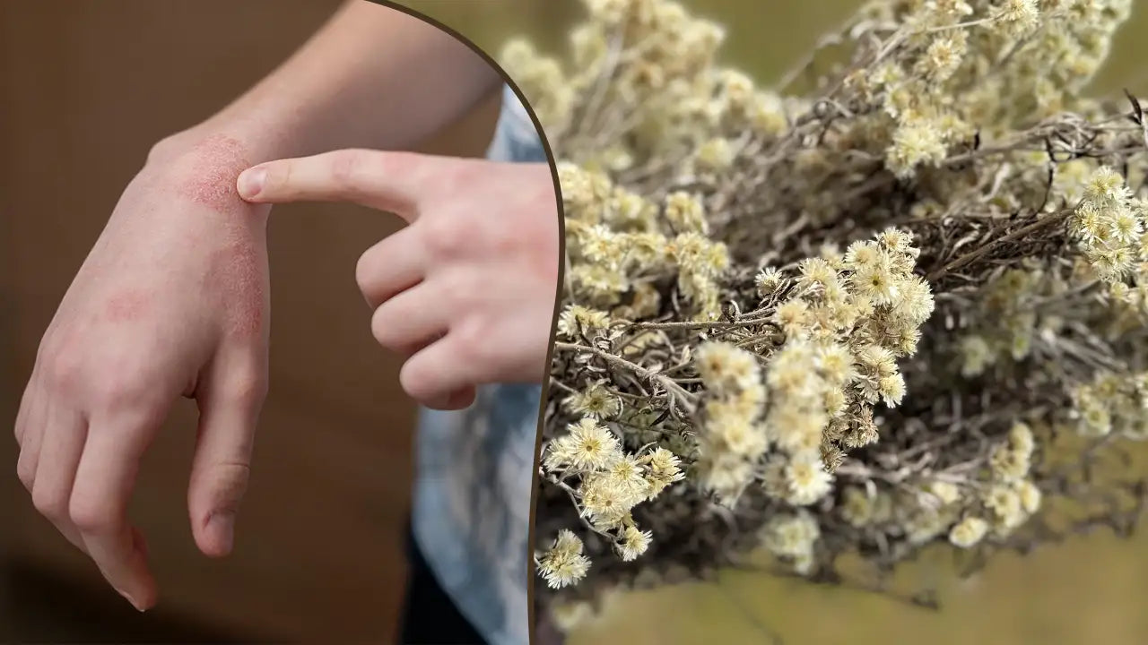 Rabbit Tobacco Side Effects & Safety: Who Should Avoid This Herb?