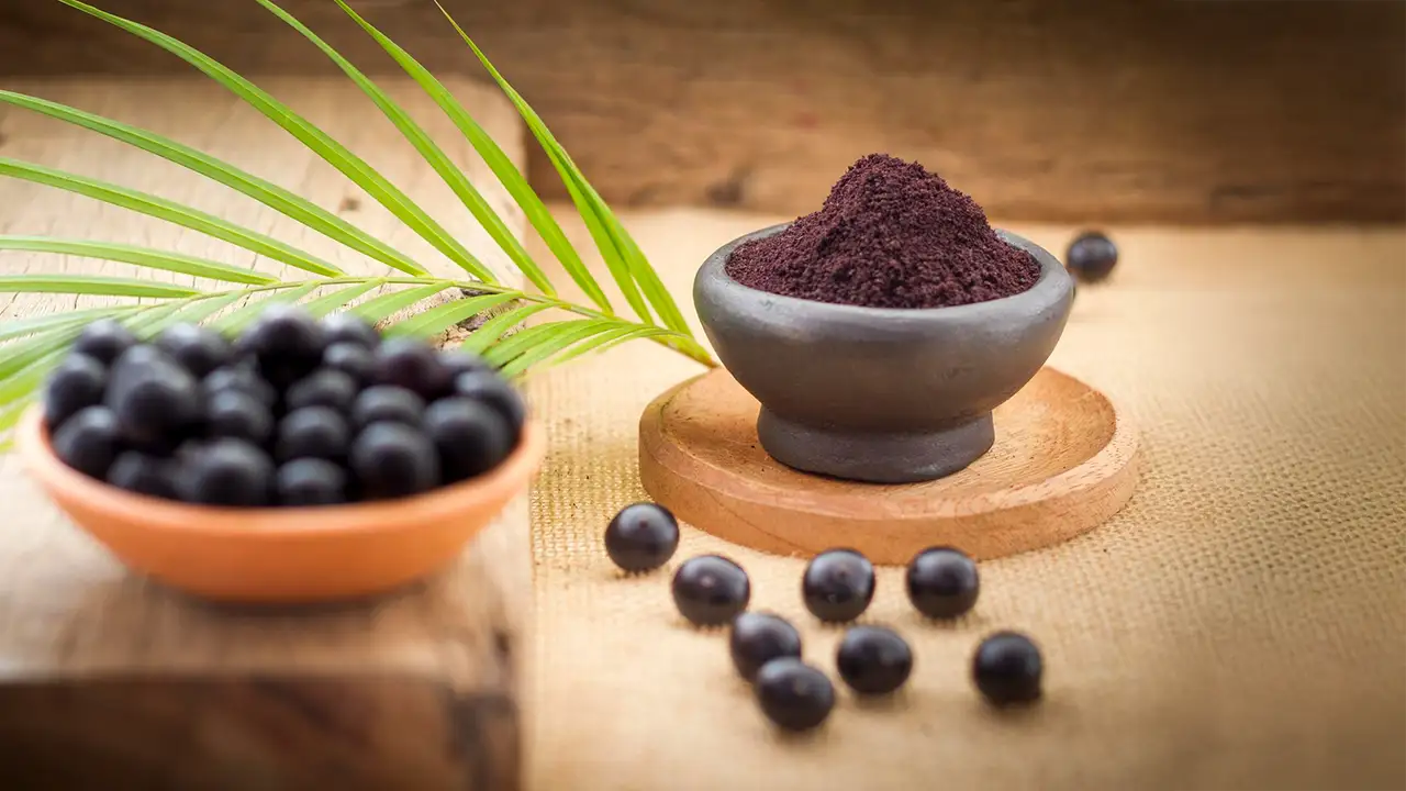 A Comprehensive Guide to the Health Benefits of Elderberry Powder