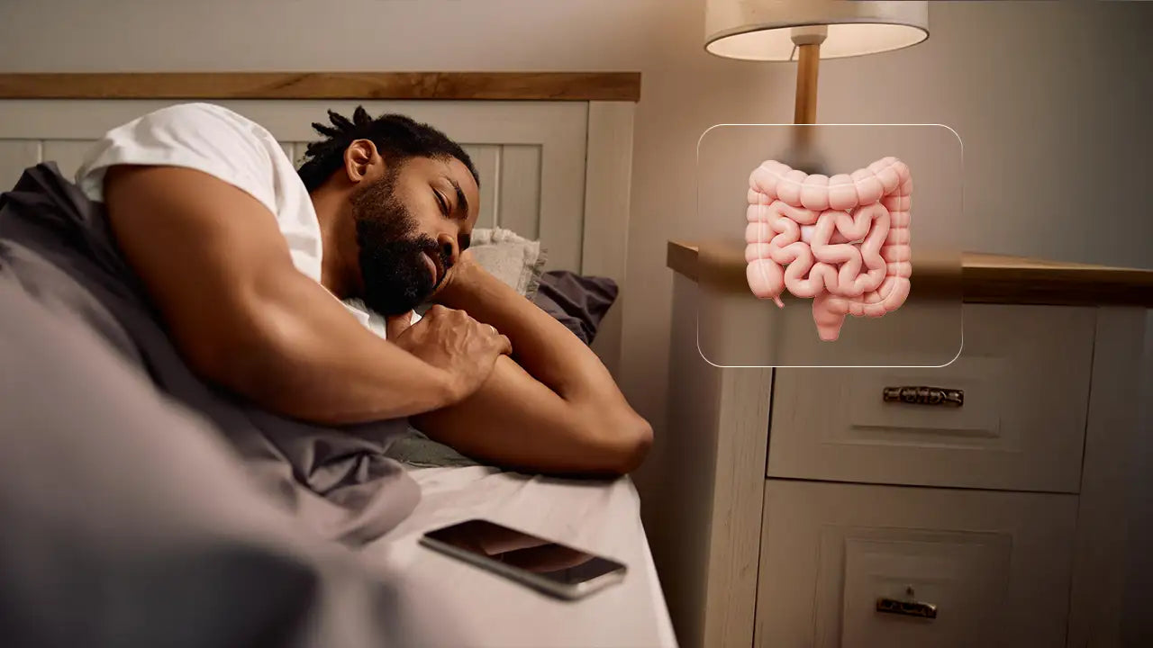 Sleep for Better Digestive Support: How to Heal Your Gut - Why Rest Fixes Overnight Issues