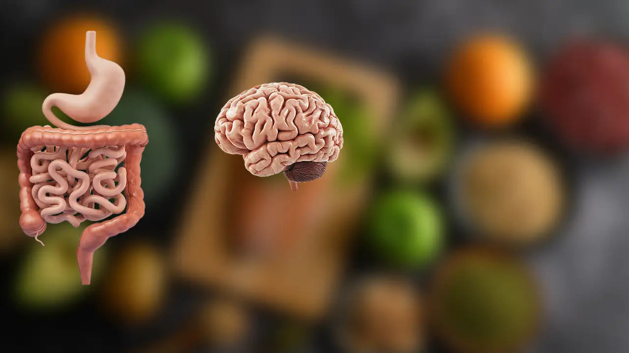 gut-microbiome-mental-health-immunity