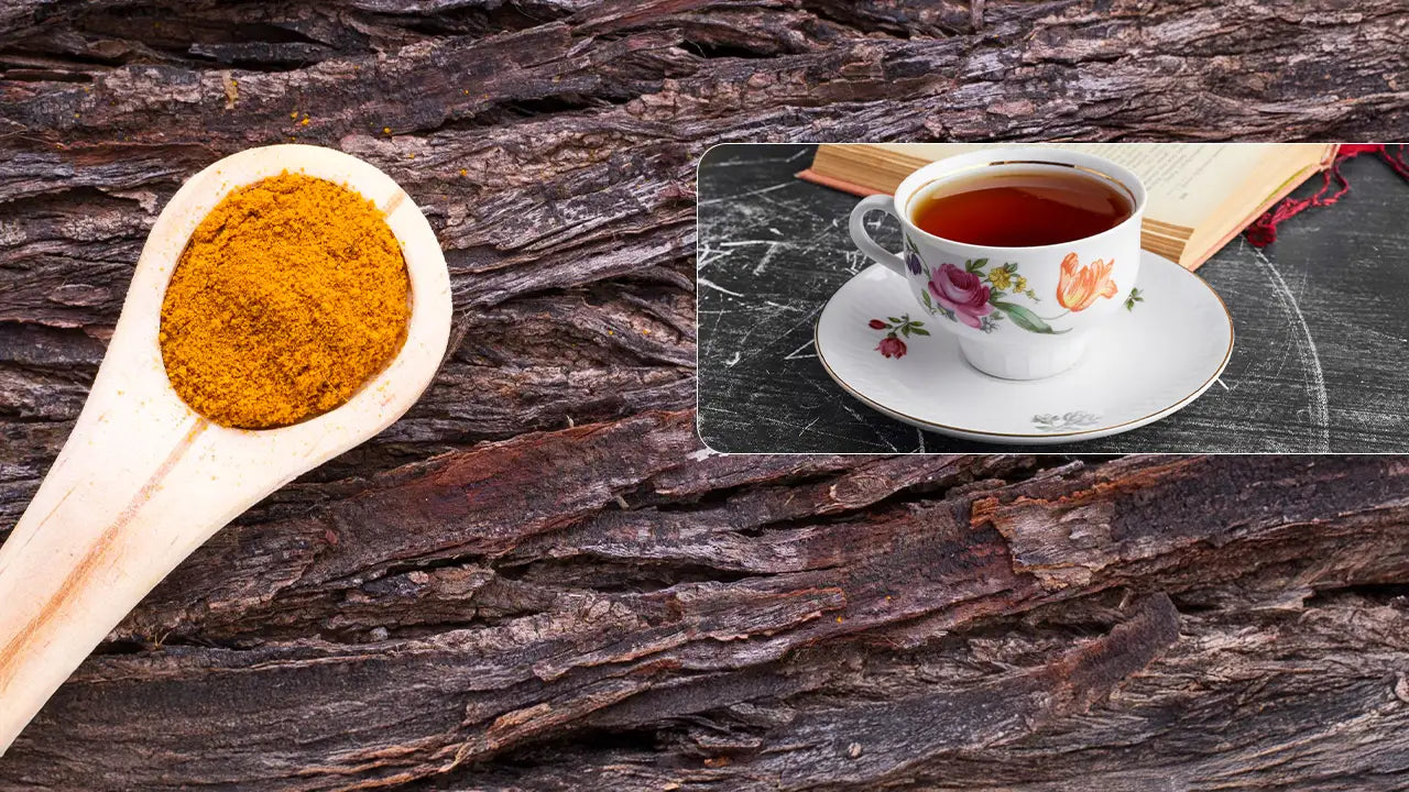 Discover the Power of Cascara Sagrada Powder: 2026 Insights