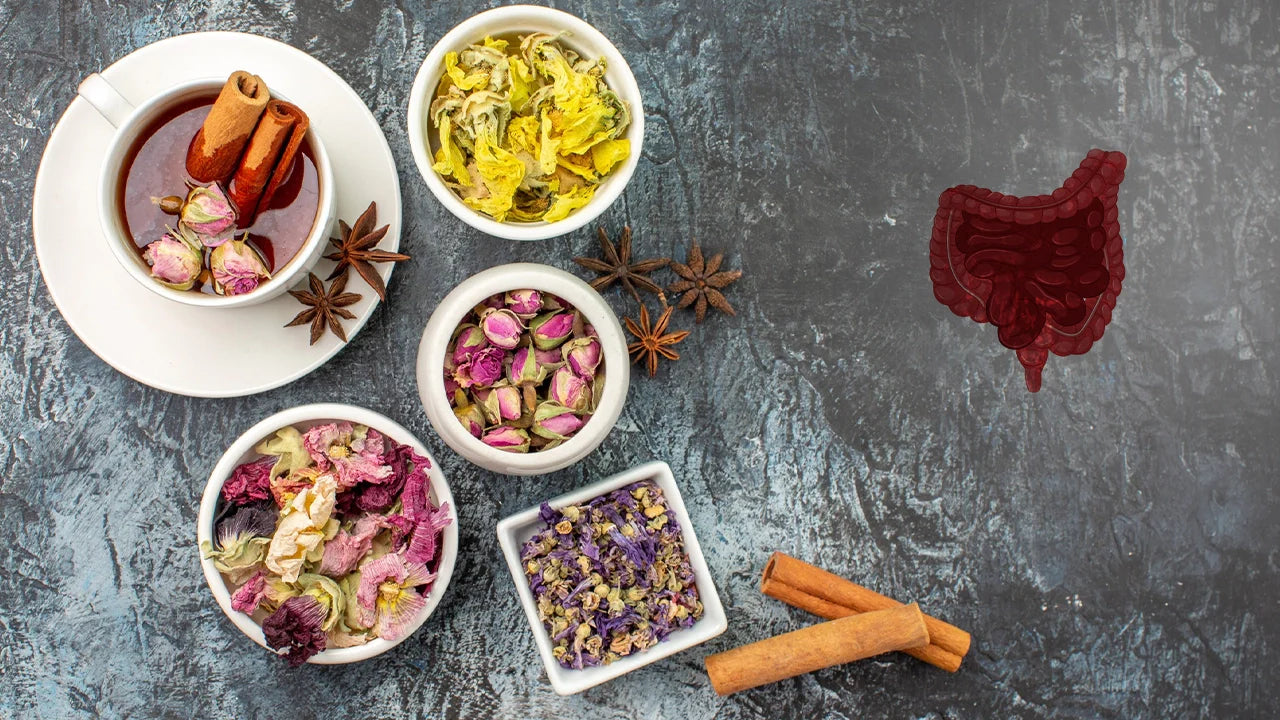 Herbs for Leaky Gut: Top Natural Remedies to Repair Gut Lining