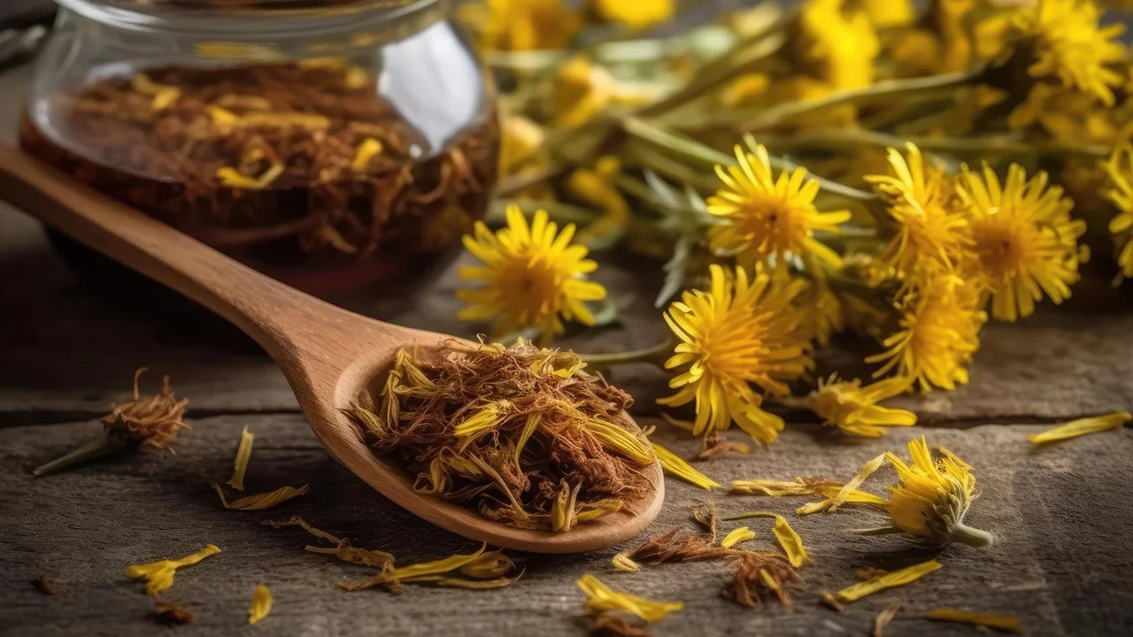 Dandelion Root for Digestion: Benefits, Uses & Side Effects