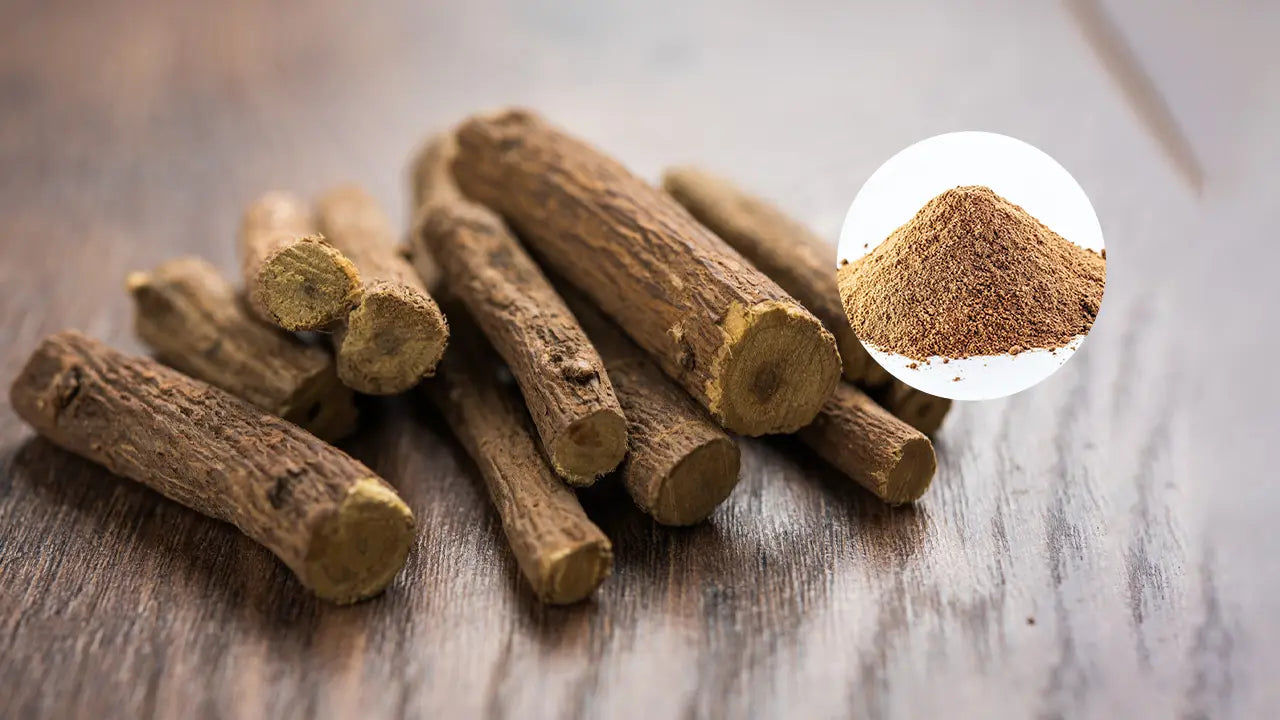 Sarsaparilla Root Powder: How to Use It the Right Way
