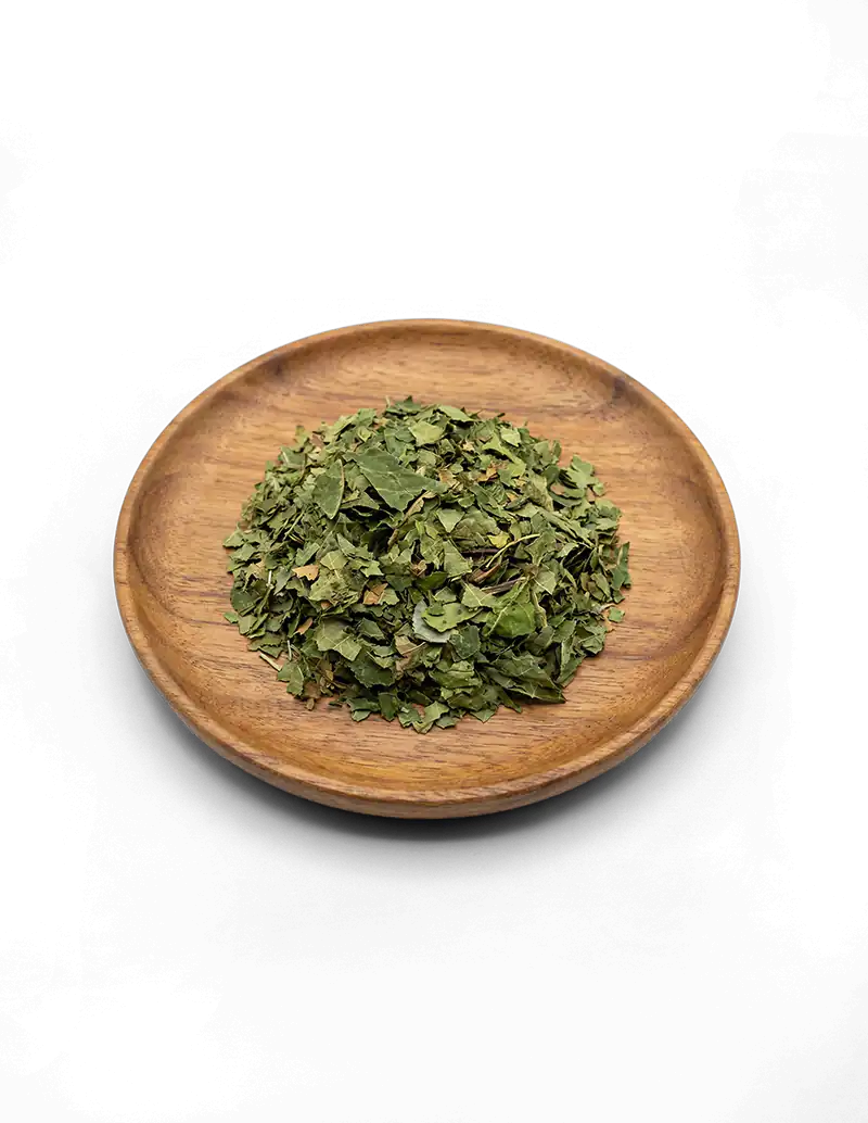 Black Walnut Leaf: Wildcrafted Natural Dye & Herb - HerbalPapa