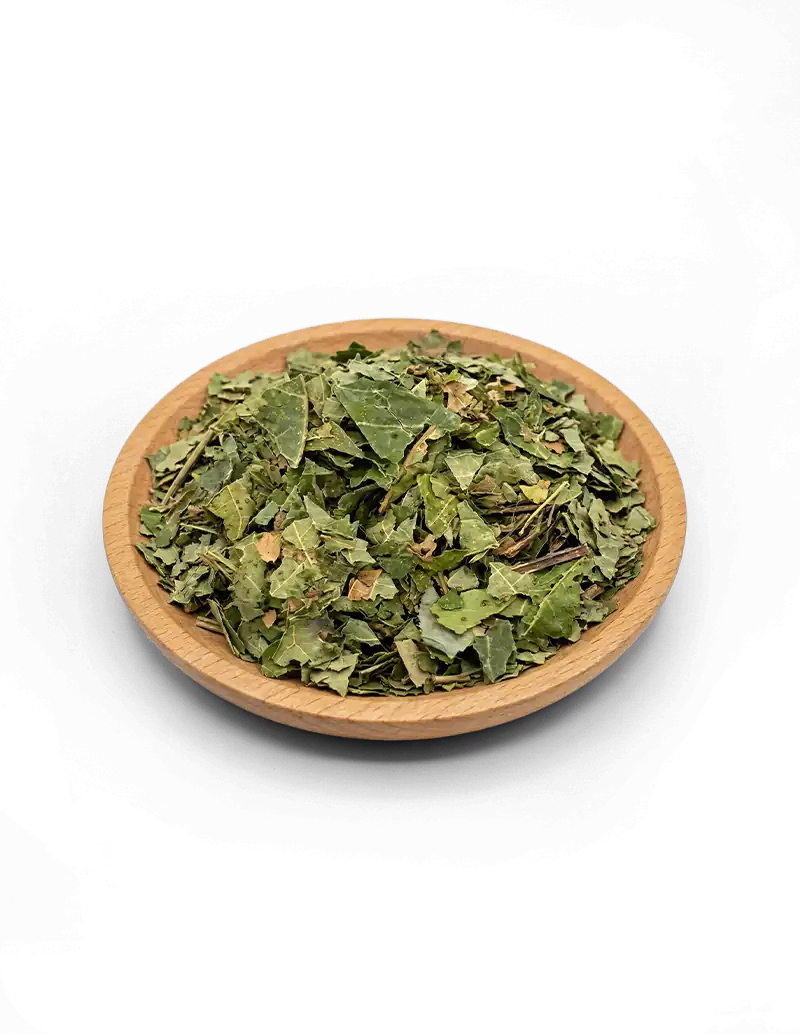 Black Walnut Tincture