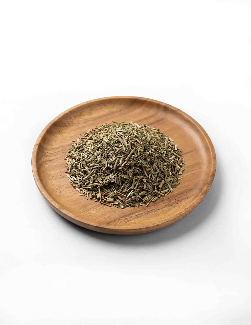 Cleavers Galium Aparine