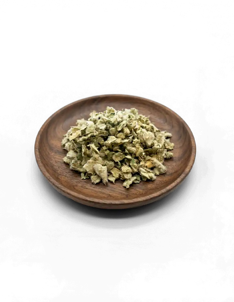 Mullein Verbascum Thapsus