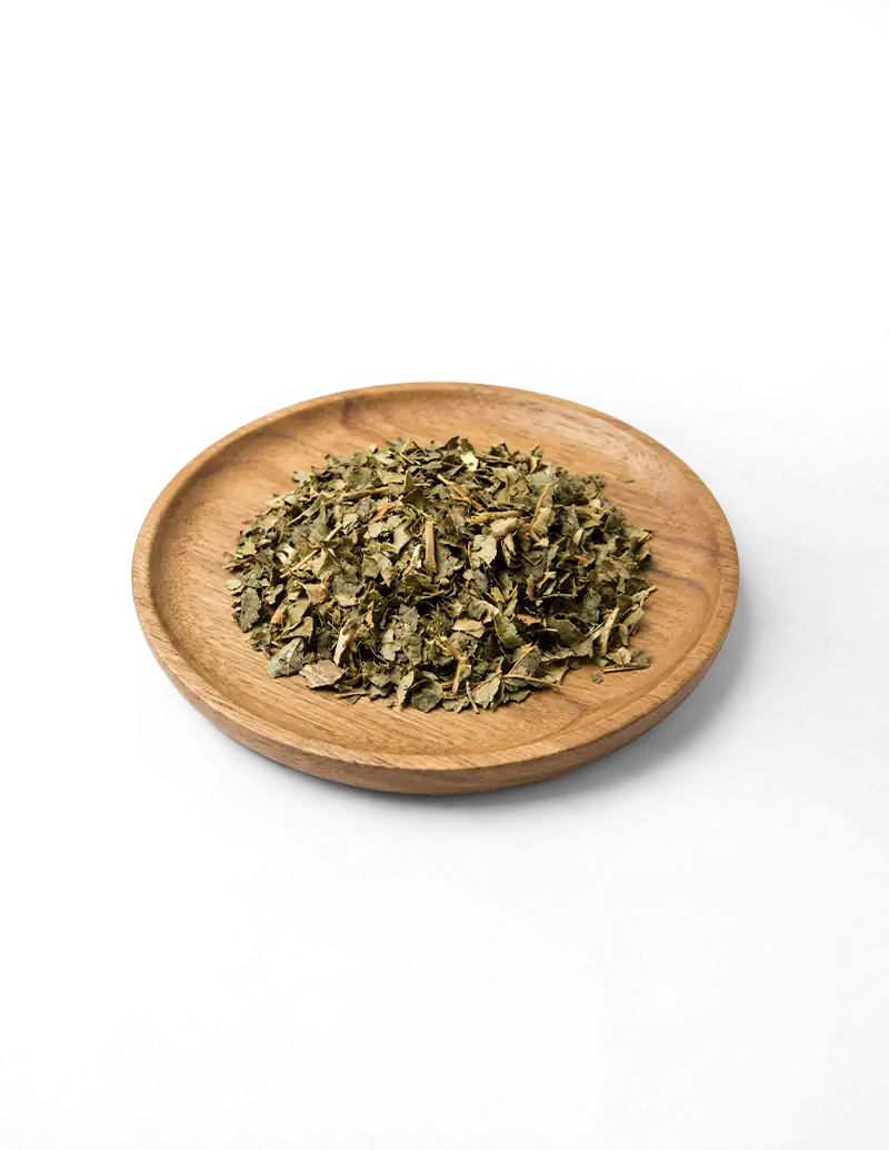 Witch Hazel Herb – Natural DIY Skincare & Toner Support - HerbalPapa