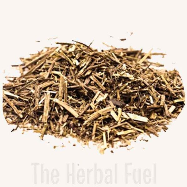 Organic Blue Vervain (Verbena hastata)