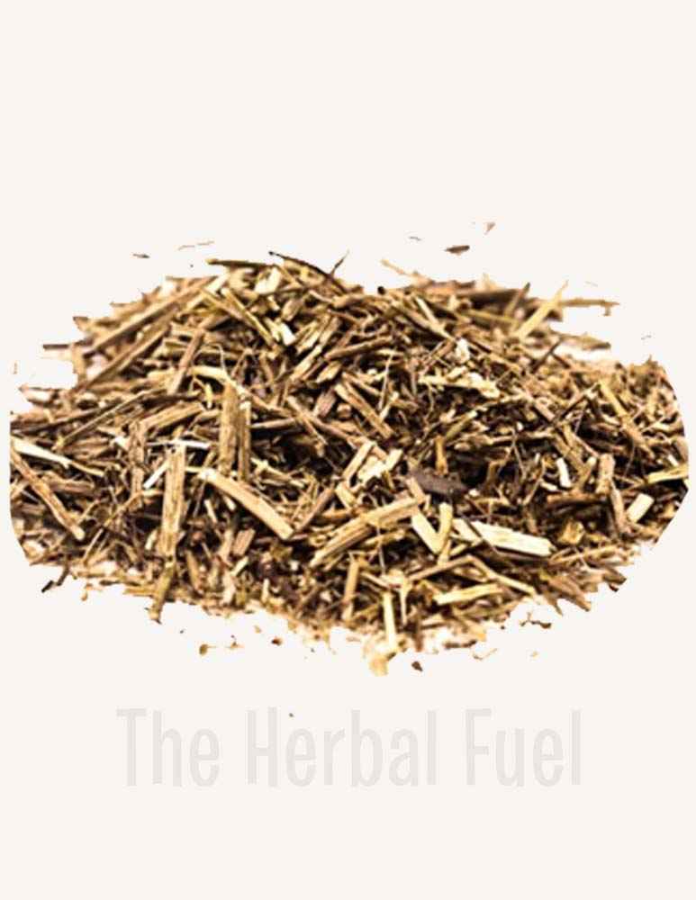 Organic Blue Vervain (Verbena hastata)