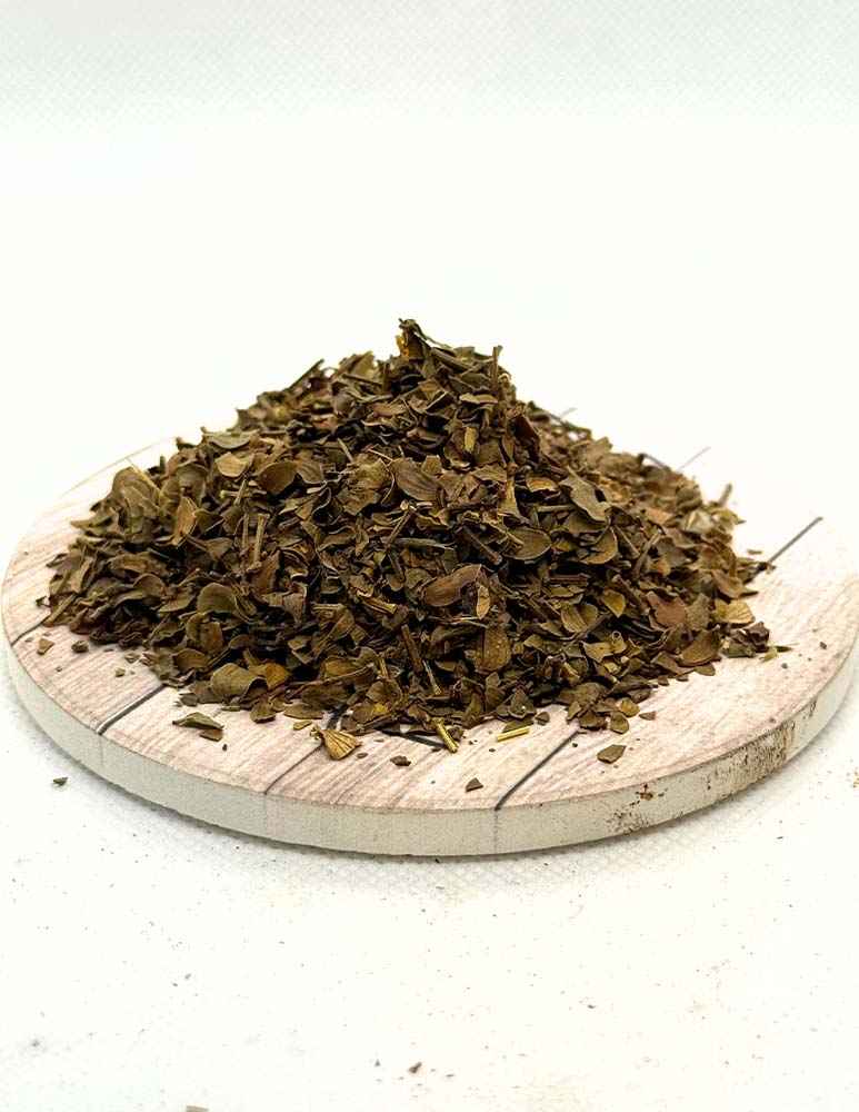 Chaparral Leaf (Larrea tridentata) - Creosote Bush