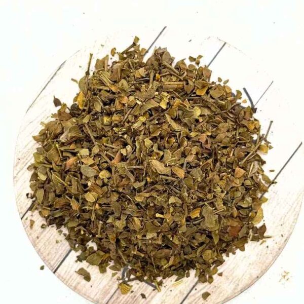 Chaparral Leaf (Larrea tridentata) - Creosote Bush