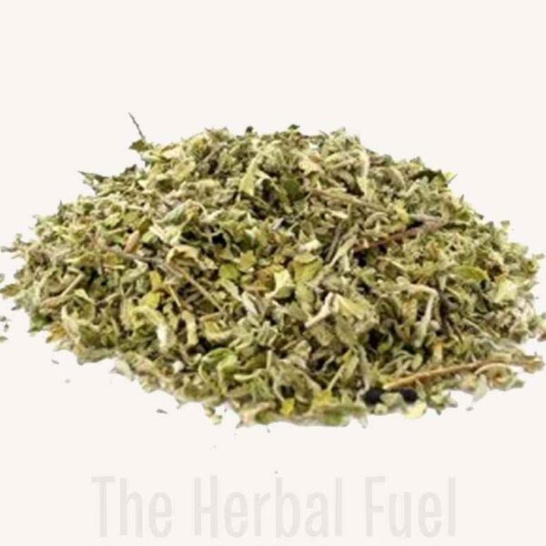 Damiana (Turnera diffusa)