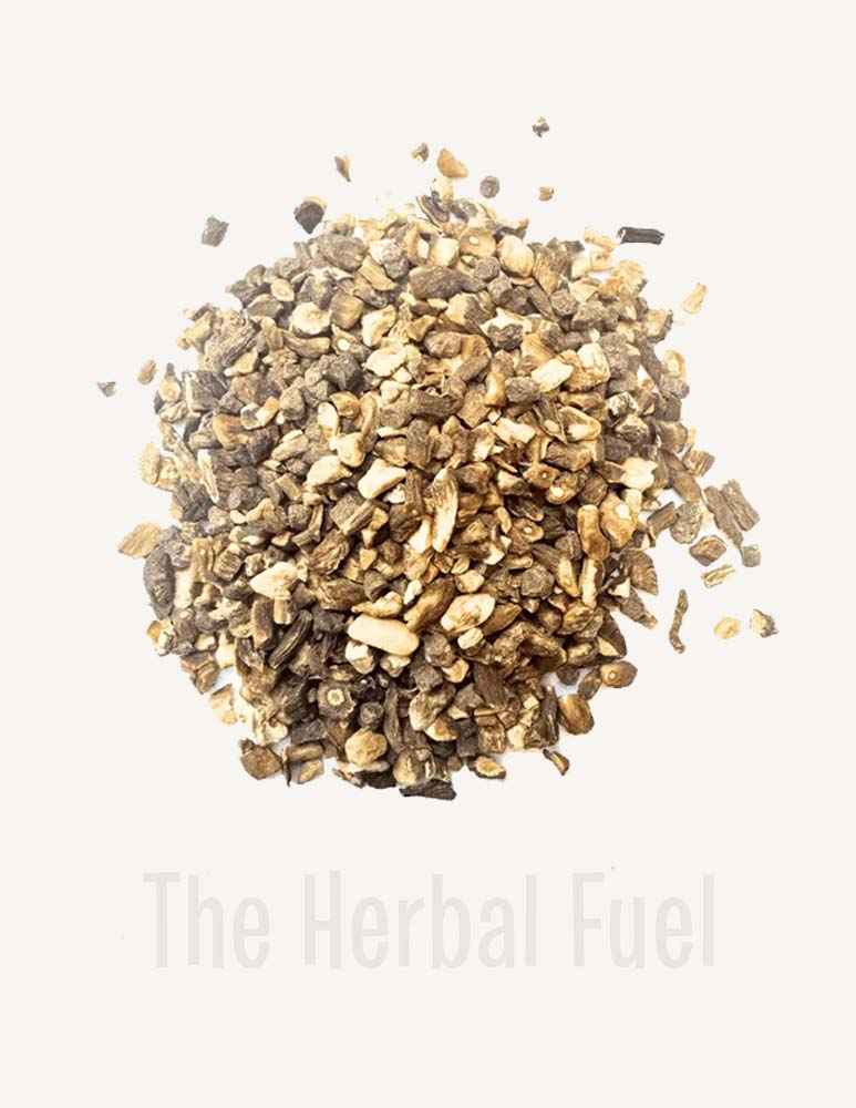 Dandelion (Taraxacum officinale)