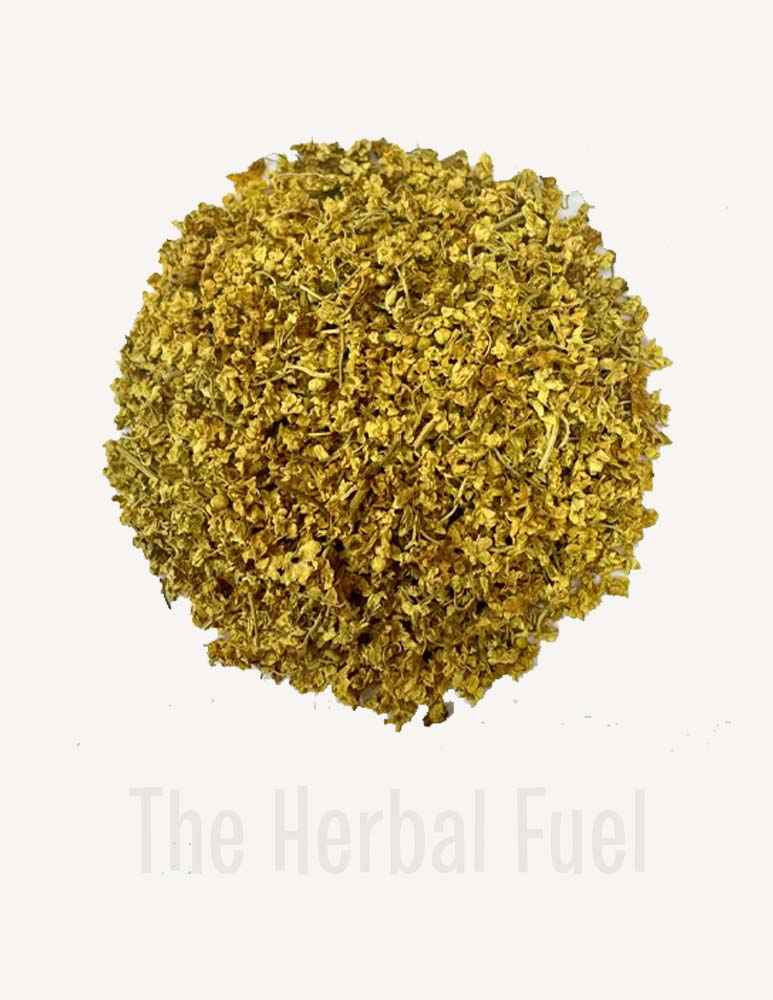 Elderflower & Elderberry (Sambucus nigra)