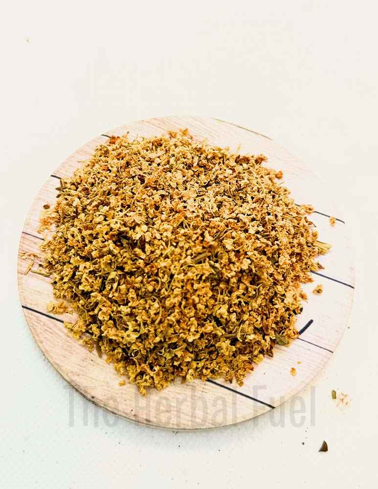 Elderflower Herb: Sambucus Nigra - Natural Cold & Sinus Remedy
