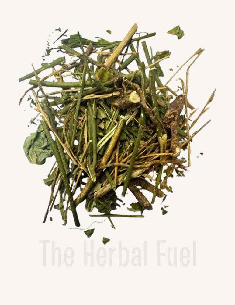 Guinea Hen Weed (Petiveria alliacea)