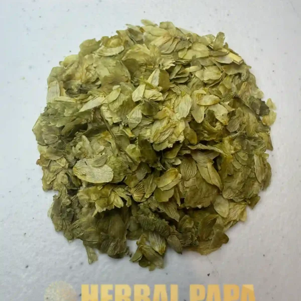 Herb Hops Leaf