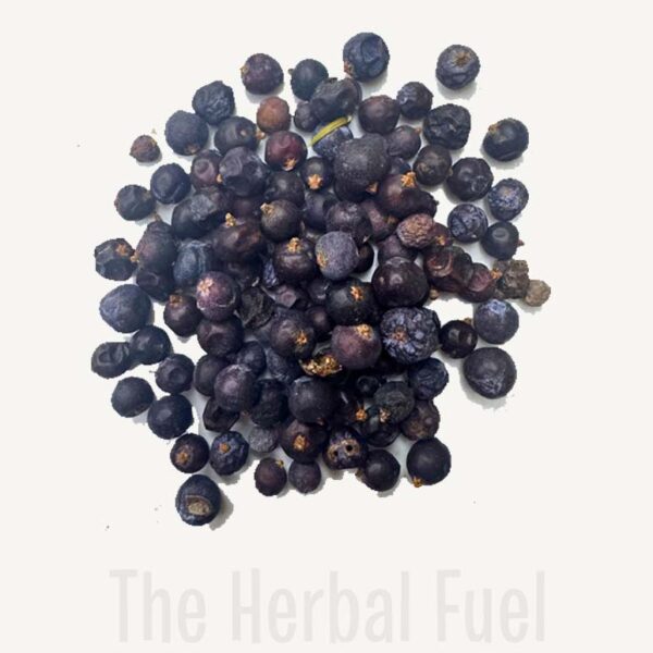 Juniper Berries