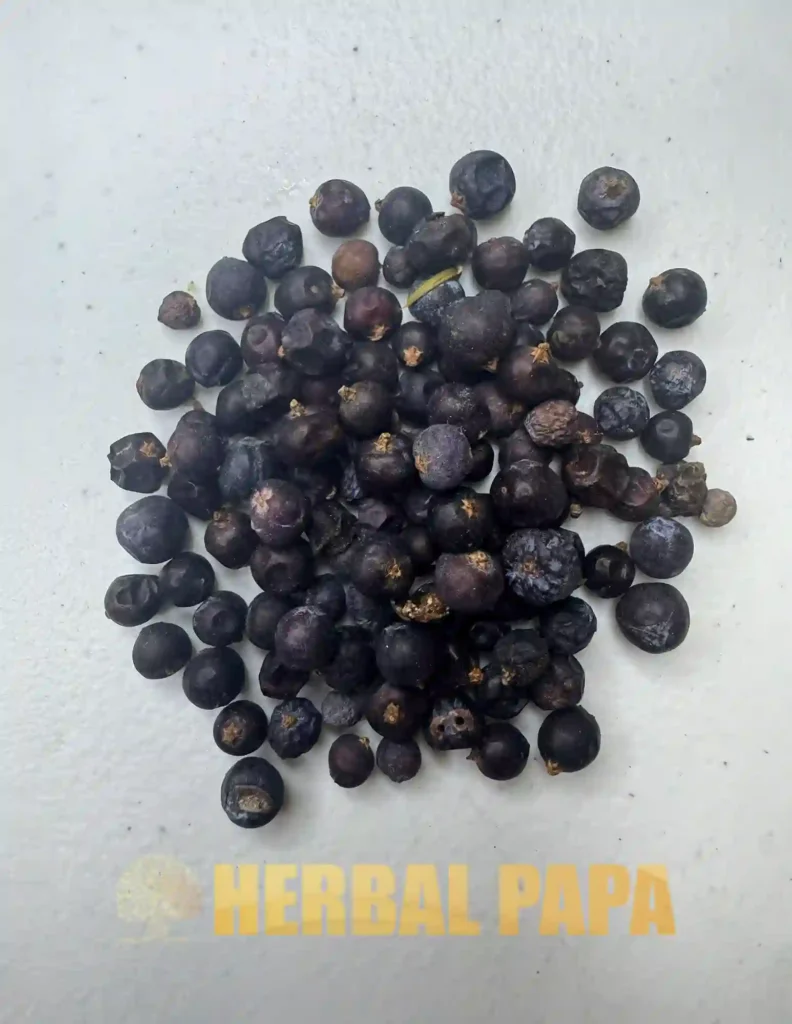 Juniper Berries Herb