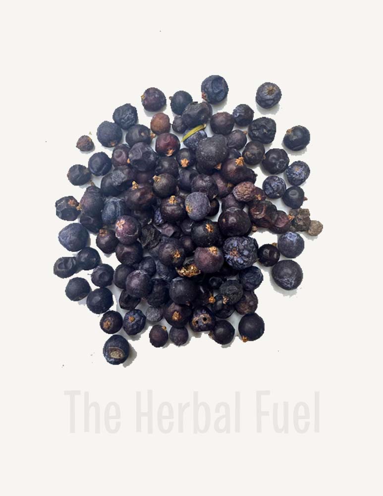 Juniper Berries