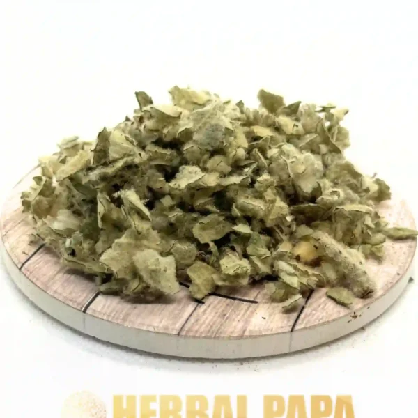 Mullein Verbascum Thapsus