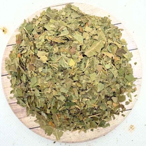 Neem Leaf: Azadirachta indica - Indian Lilac