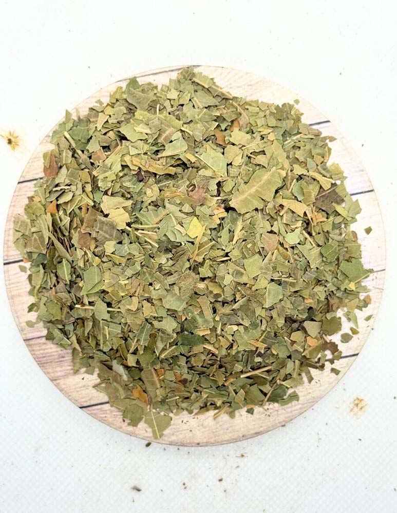 Neem Leaf: Azadirachta indica - Indian Lilac