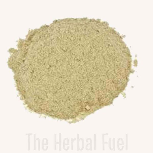 Buy Nopal Cactus (Opuntia ficus-indica) – Prickly Pear Pads & Powder for Wellness | Herbal Superfood