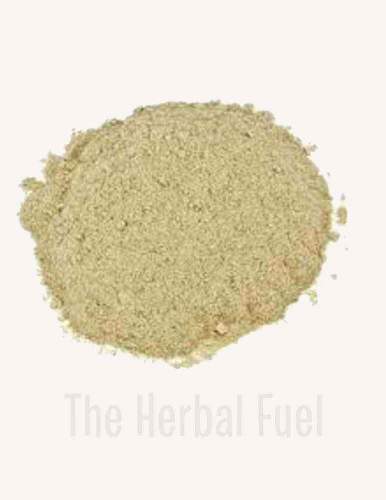 Buy Nopal Cactus (Opuntia ficus-indica) – Prickly Pear Pads & Powder for Wellness | Herbal Superfood