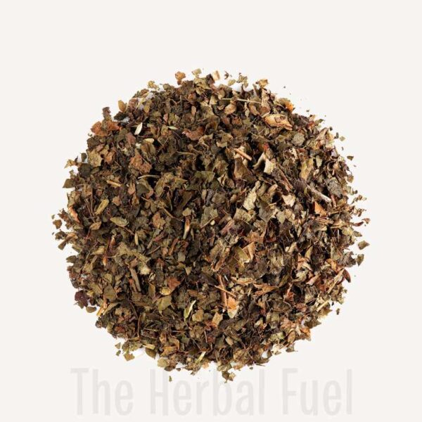 Witch Hazel (Hamamelis virginiana)