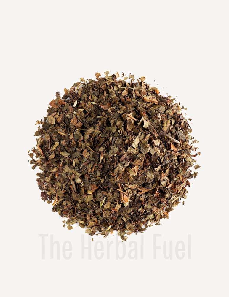 Witch Hazel (Hamamelis virginiana)