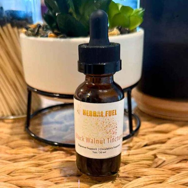 Black Walnut Tincture